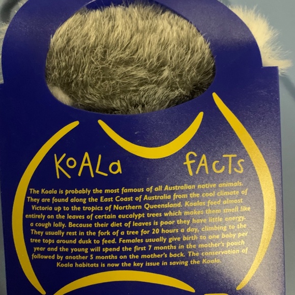 Australian | Koala - Picture 2 of 5